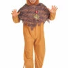 Cowardly Lion Wizard Of Oz Adult Costume