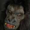 Go Rilla Mask